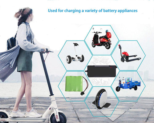 LiFePo4 battery charger
